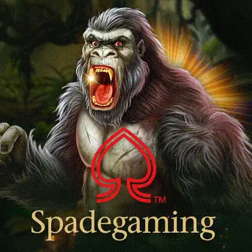 Túi Vàng